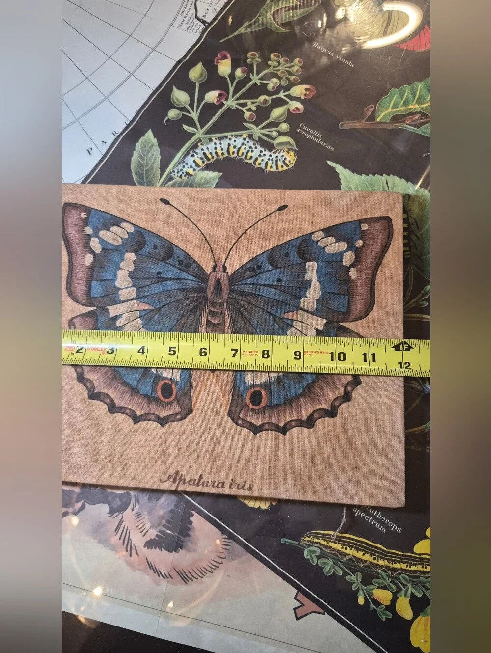 Butterfly Wall Art Canvas in Blue and Brown VINTAGE